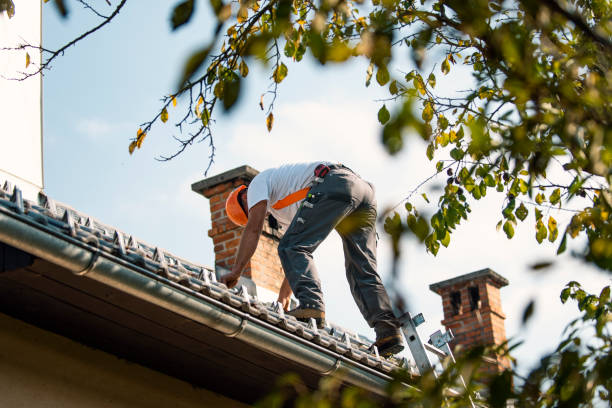 Best Roof Gutter Cleaning  in Loretto, TN