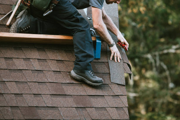 Best Metal Roofing Contractor  in Loretto, TN